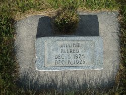 William Allred 