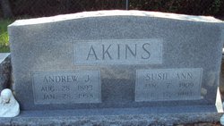 Andrew Jackson Akins 