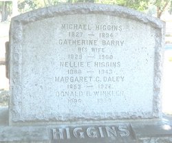 Michael Higgins 