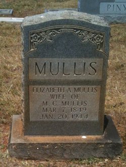 Elizabeth Ann <I>Purser</I> Mullis 