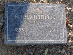 Alfred A Anthony 