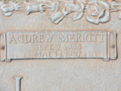 Andrew Merritt McNeill 