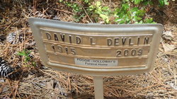 David L Devlin 