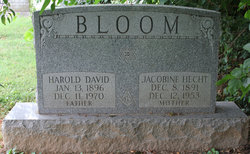 Jacobine <I>Hecht</I> Bloom 