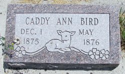 Caddy Ann Bird 