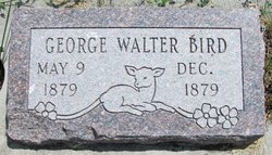 George Walter Bird 