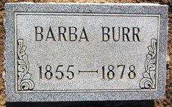 Barba Burr 