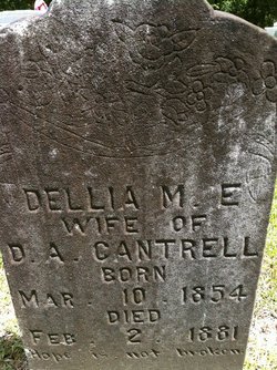 Dellia M.E. Cantrell 