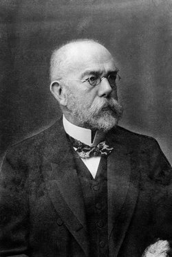 Dr Robert Koch 