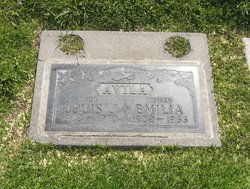 Louis J Avila 