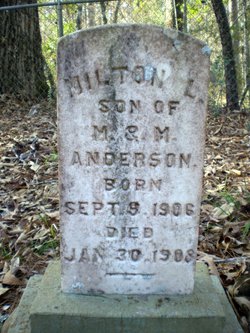 Milton L. Anderson 