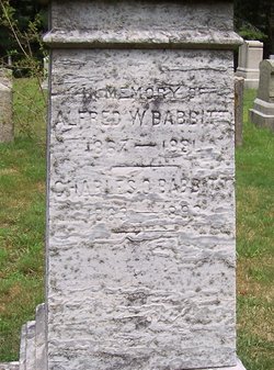 Alfred Warren Babbitt 