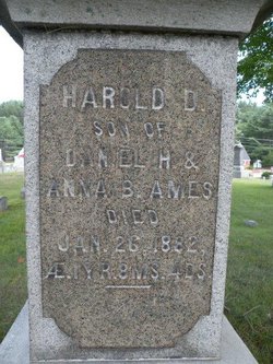 Harold D Ames 