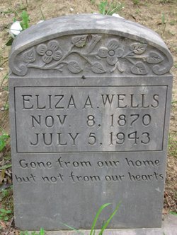 Eliza A. <I>Eaton</I> Wells 