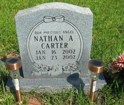 Nathan A Carter 