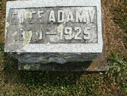 F Lee Adamy 