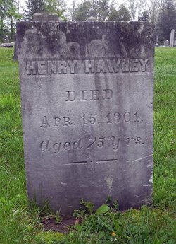 Henry Hawley 