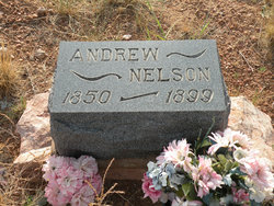 Andrew Nelson 