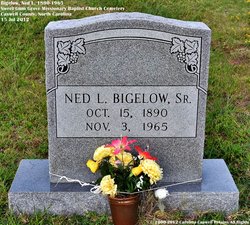 Ned Lea Bigelow Sr.