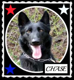 Chase Police Dog K-9 