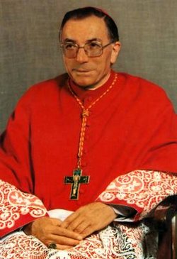 Cardinal Giovanni Saldarini 