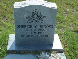 Sherice Y Brooks 