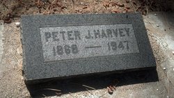 Peter J. Harvey 