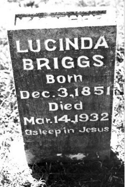 Lucinda <I>Edney</I> Briggs 