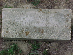 Lillie M. Heavin 