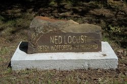 Ned Locust 