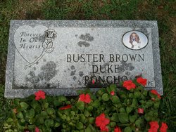 Buster Brown Sharpe 