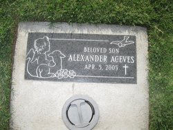 Alexander Aceves 