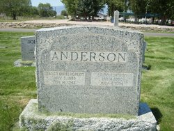 Nelson Wintergreen Anderson 