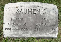 Samuel J Saumenig 