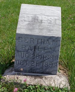 Bertha M Bailey 