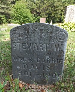 Stewart W Davis 