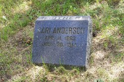Sari “Sarah” <I>Fandin</I> Anderson 