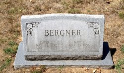 David J. Bergner 