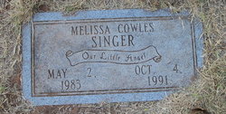 Melissa Ann Cowles-Singer 
