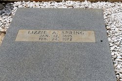 Lizzie <I>Adair</I> Spring 