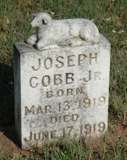 Joseph Cobb Jr.
