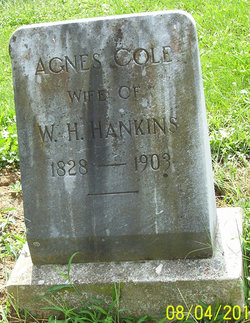 Agnes <I>Cole</I> Hankins 