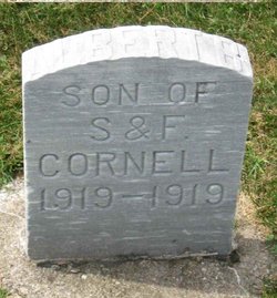 Albert B Cornell 