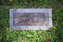 Clarence E. Amburgey 