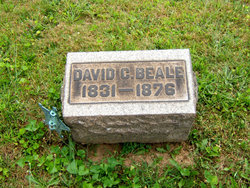 David C Beale 