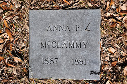 Ann P McClammy 