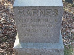 Mary G. Barnes 