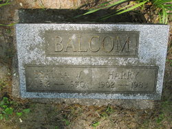 Harry W. Balcom 