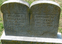 William Edward Fitzgerald 