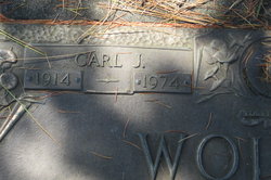 Carl J Wolters 